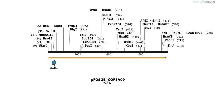 130880_map