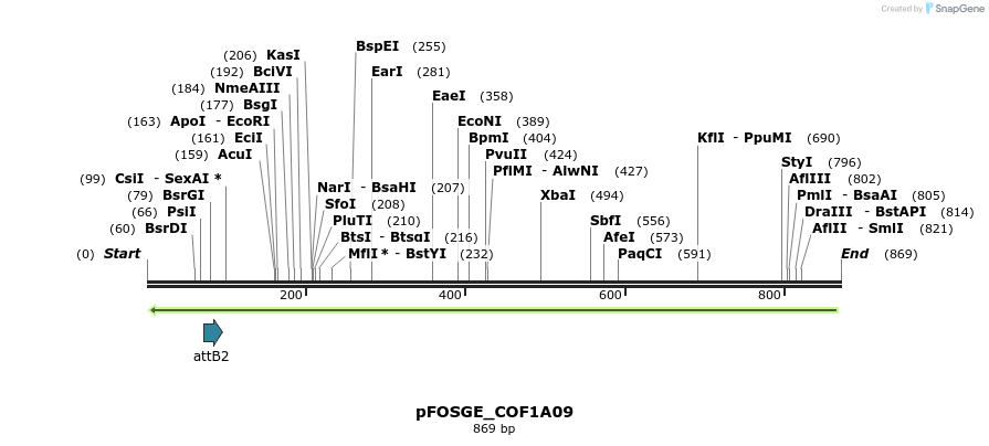 130881_map