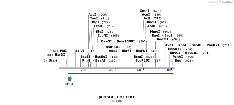 130882_map