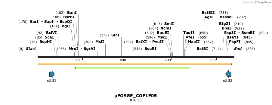 130887_map