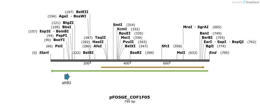 130888_map