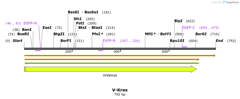 13089_map