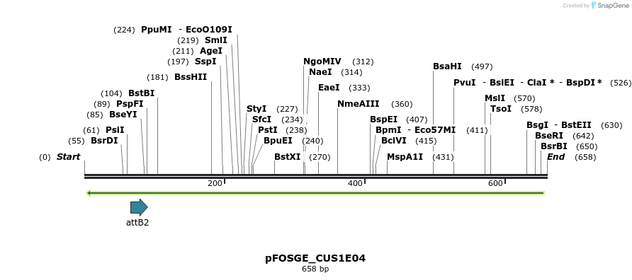 130897_map