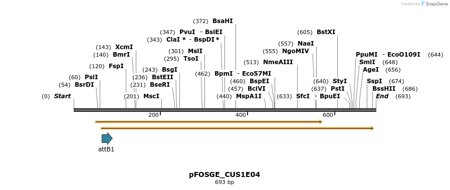 130898_map