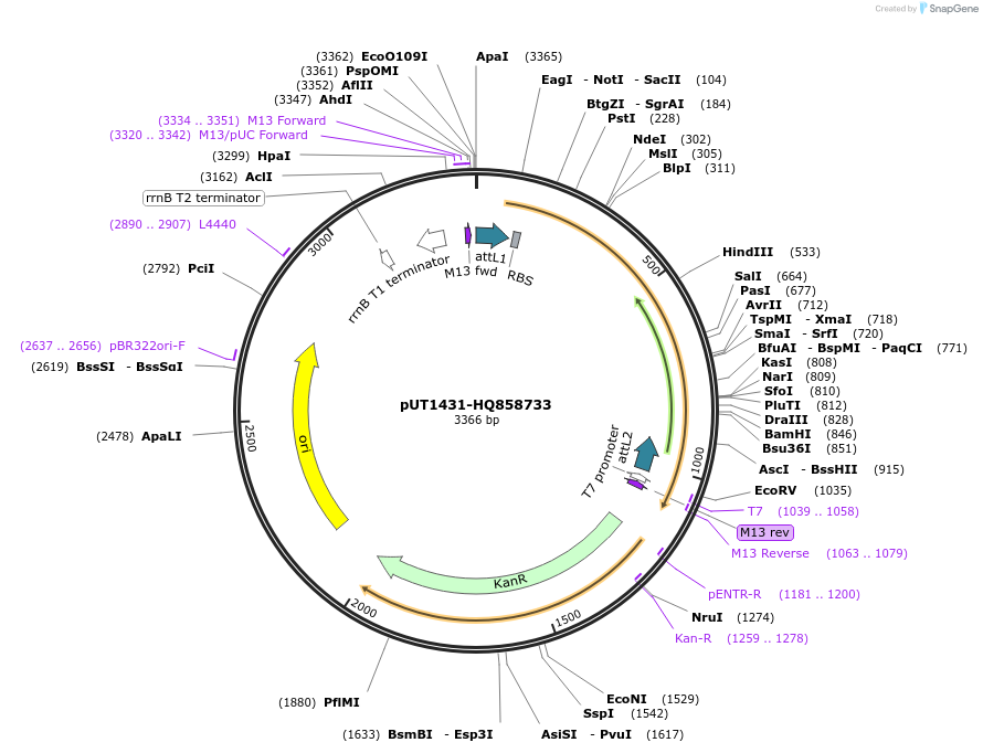 13090_map