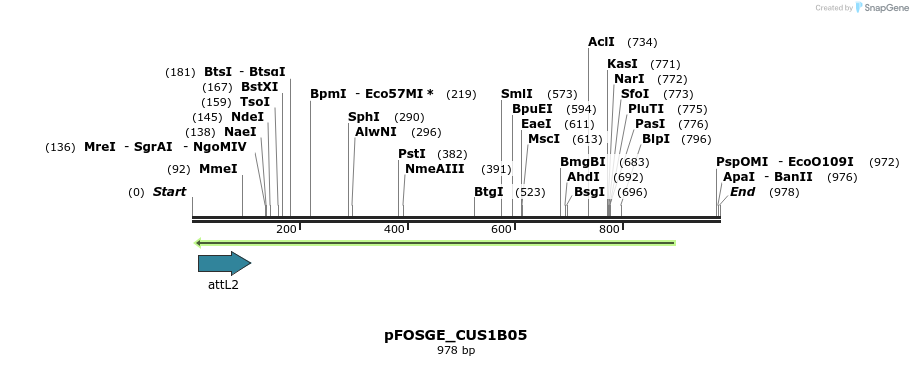 130904_map