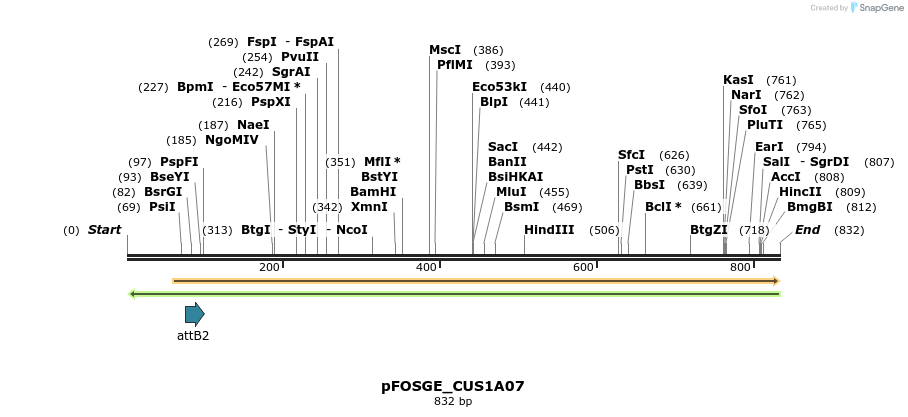 130907_map