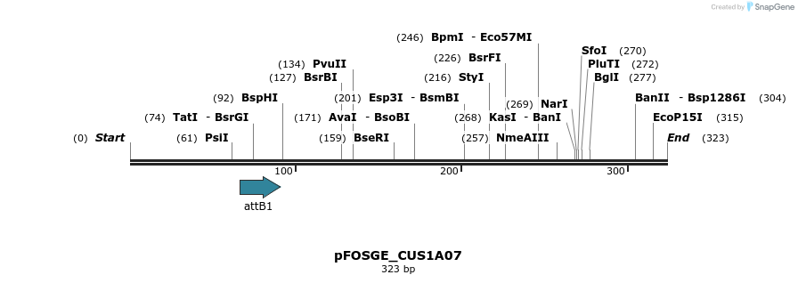 130909_map