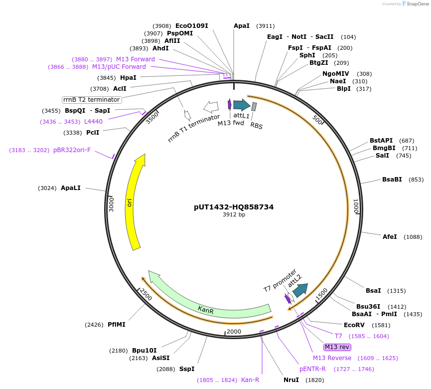 13091_map