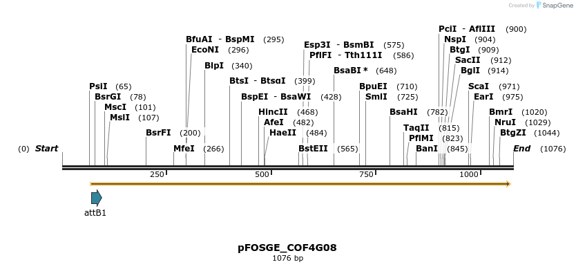 130916_map