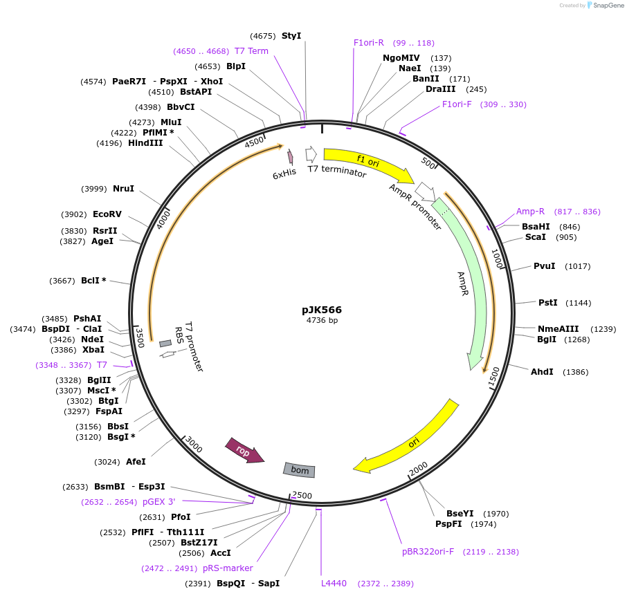 71586-plasmid-map-sequence-id-130922