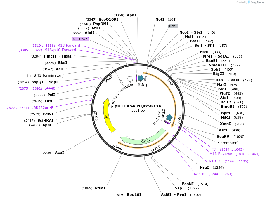 13093_map