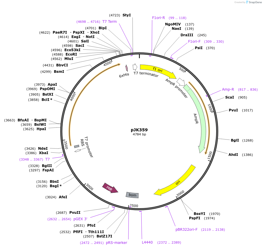 130933_map