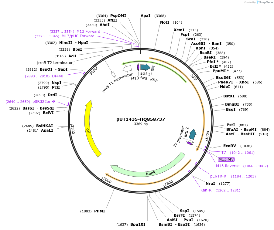 13094_map