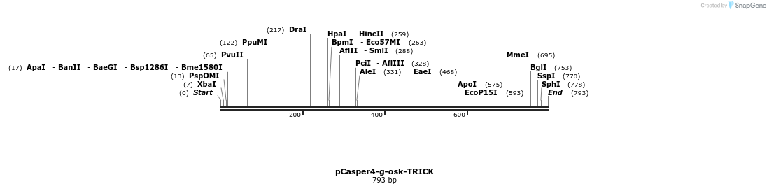 130944_map