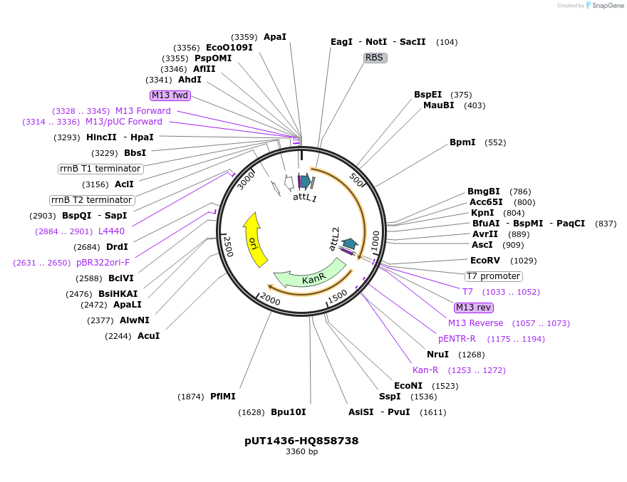 13095_map