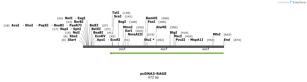 130950_map