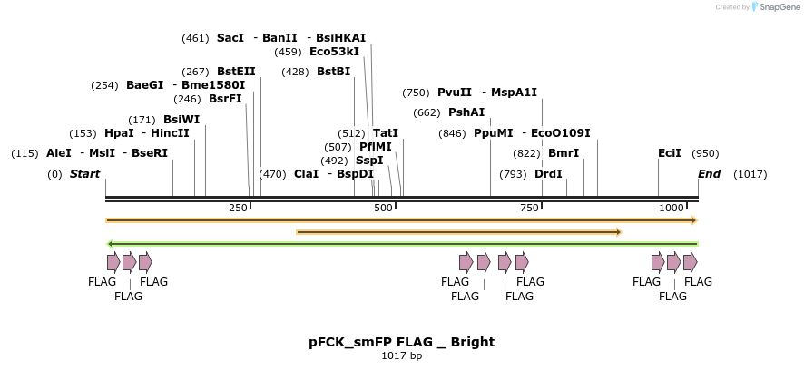 130952_map