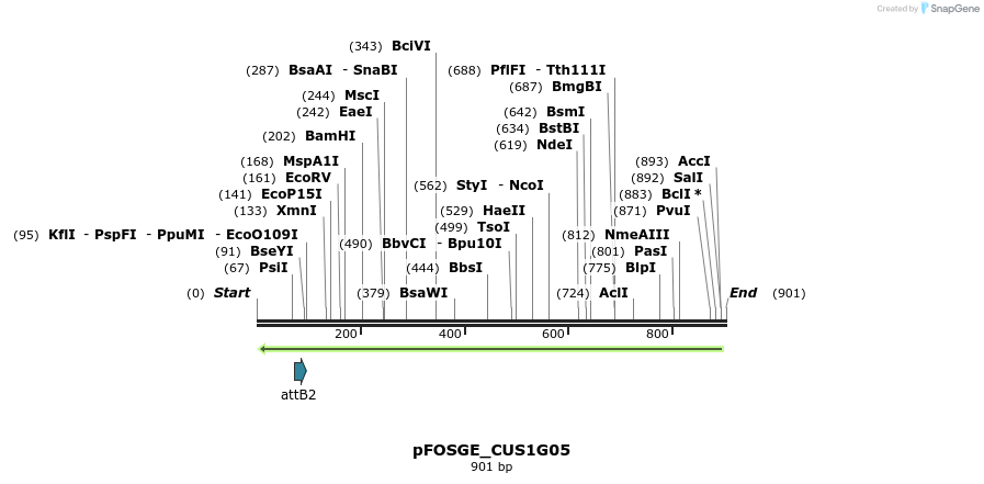 130955_map