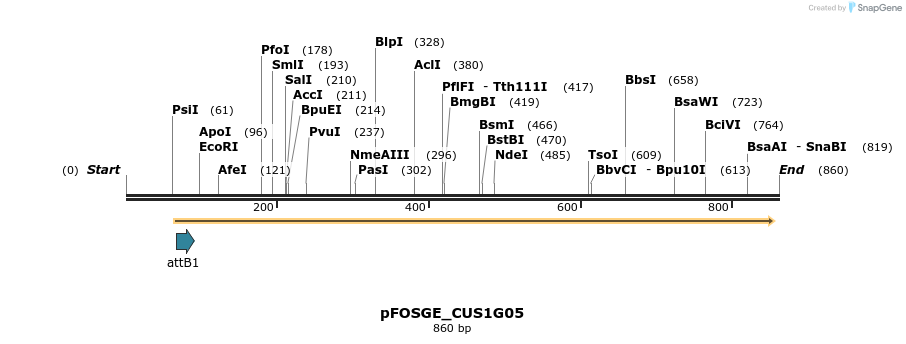 130956_map