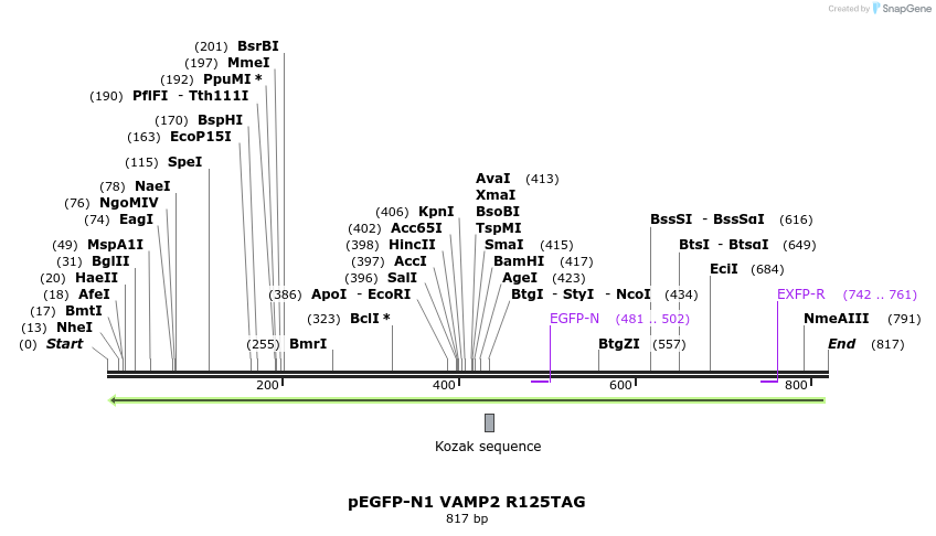 130959_map