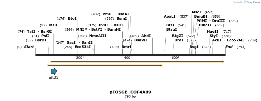 130960_map