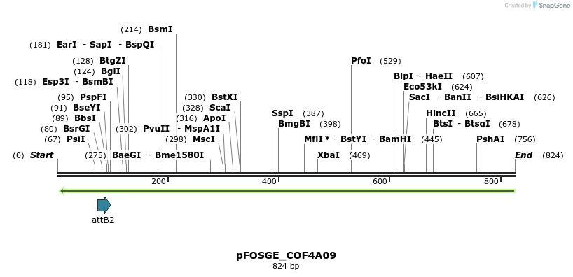 130961_map