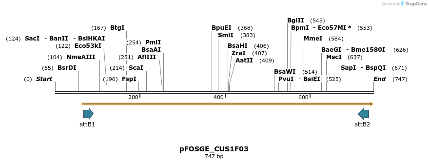 130962_map