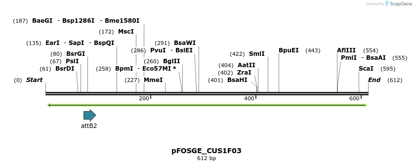 130963_map