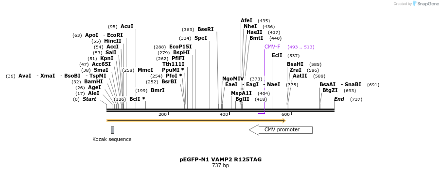 130966_map