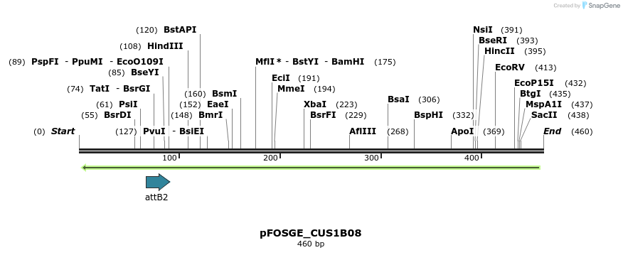 130969_map