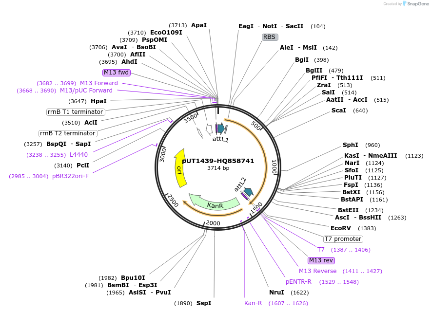 13097_map