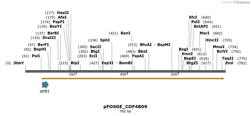 130970_map