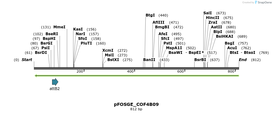 130971_map