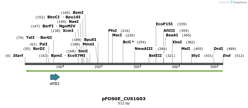130972_map