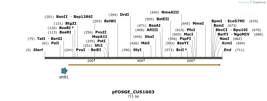 130973_map