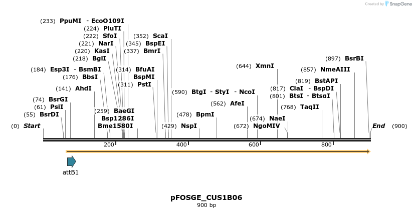 130974_map