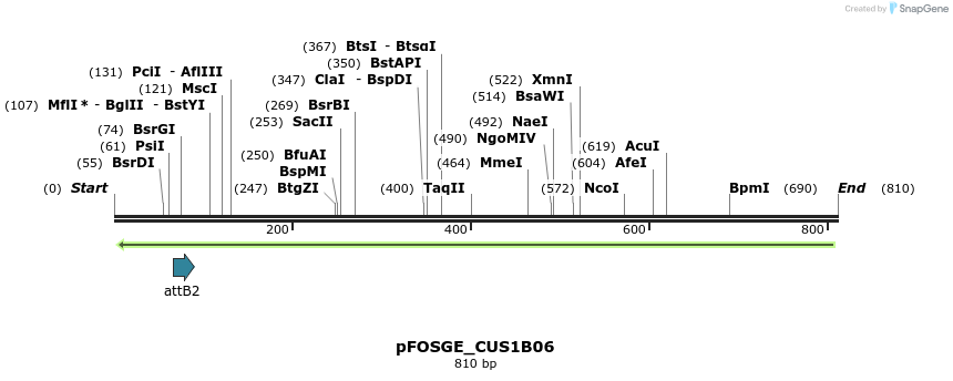 130975_map