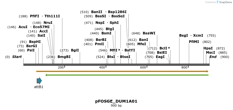 130976_map