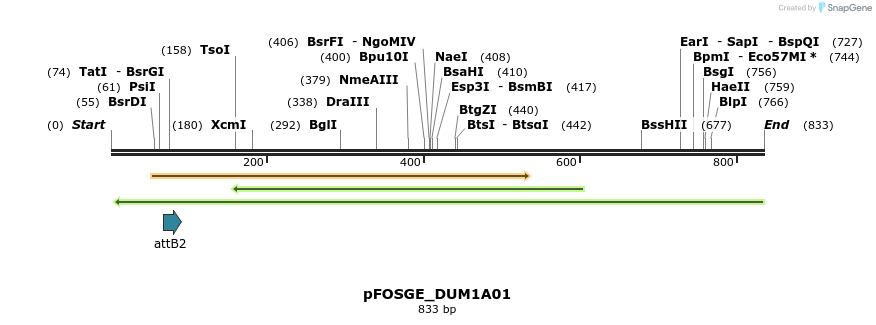 130977_map