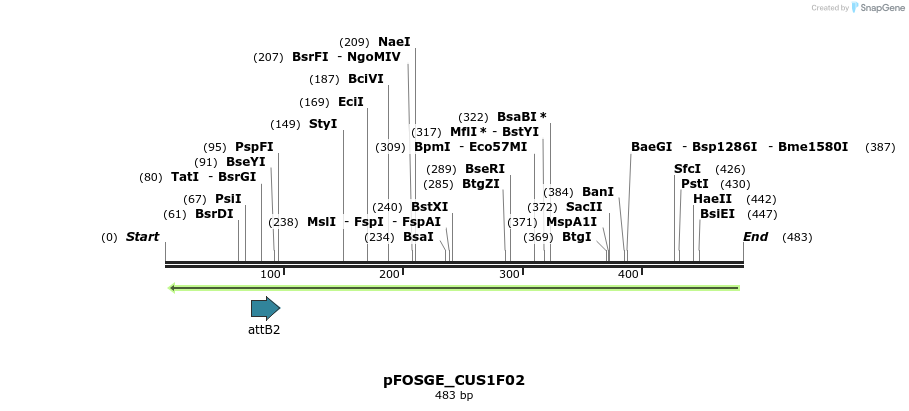 130979_map