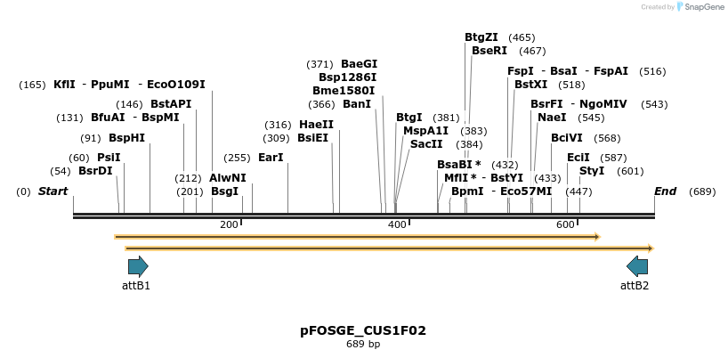 130980_map