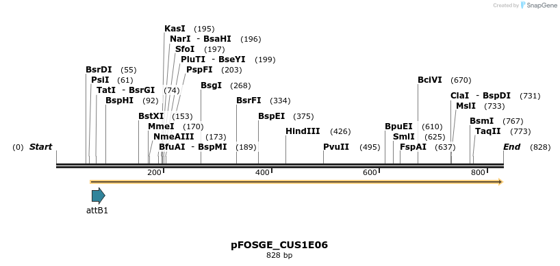 130983_map