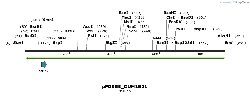 130984_map