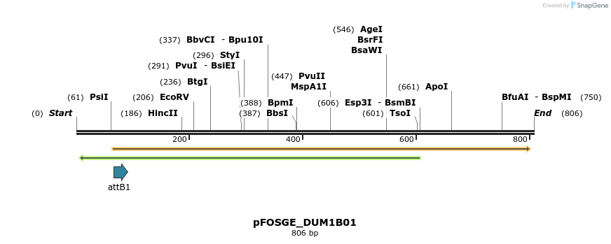 130985_map