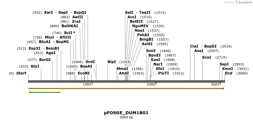 130986_map