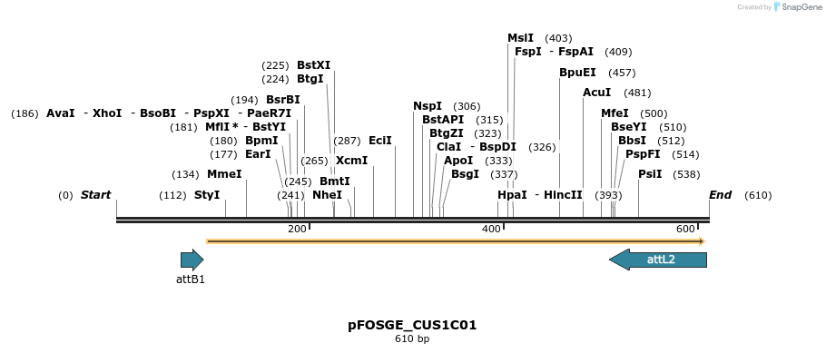 130988_map