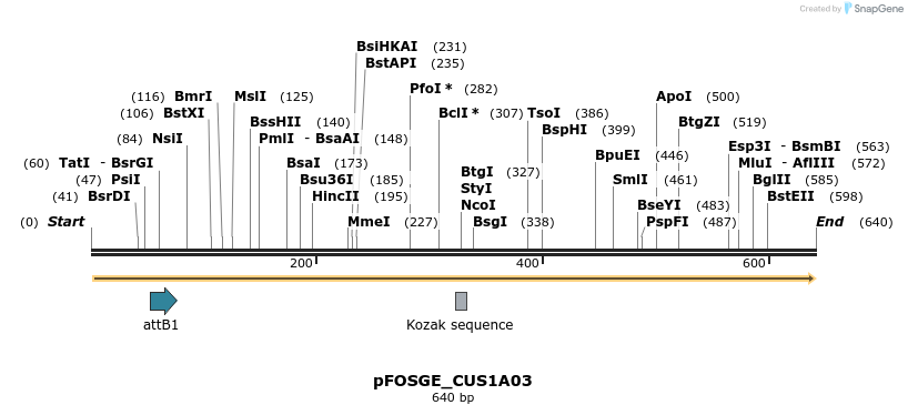 130989_map
