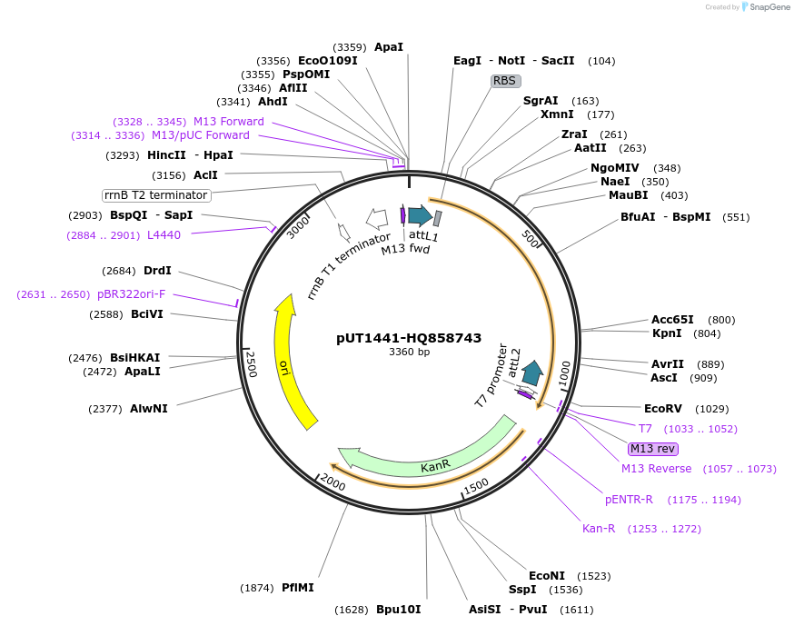 13099_map