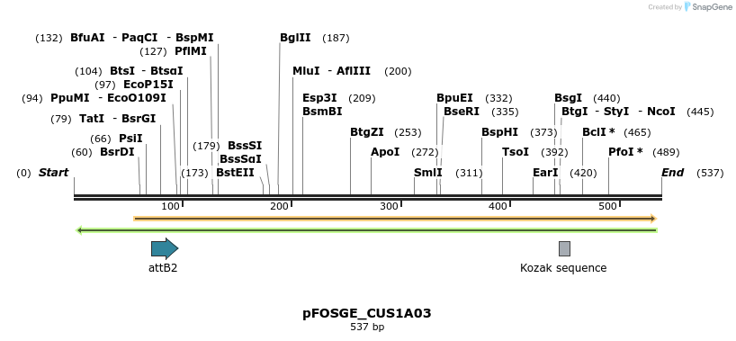 130990_map